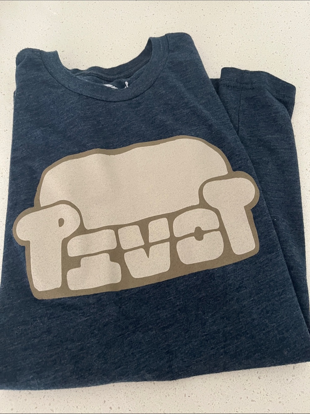 Pivot! (From Friends episode) Tshirt, like new. Size small